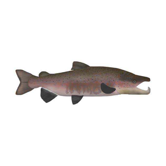 Atlantic Salmon -  Spawn Phase by FishFolkArt