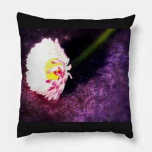 red tipped Daisy Pillow