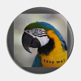 save me! Pin