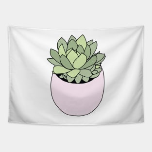 Green succulent in flowerpot Tapestry