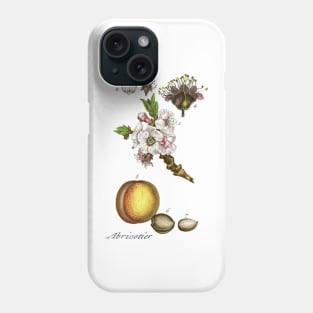 apricot Phone Case