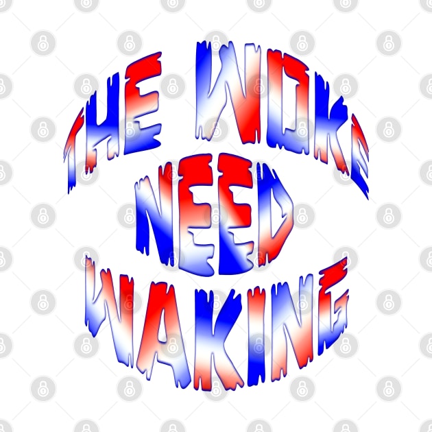 Red White and Blue THE WOKE NEED WAKING by Roly Poly Roundabout