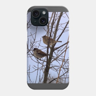 Two Sparrows Perched In a Tree, Male and Female Phone Case