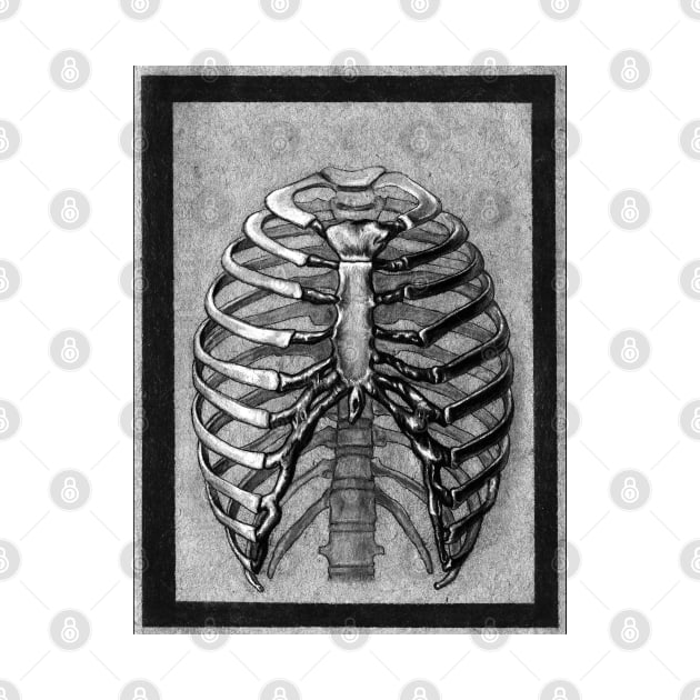 ribcage by IrenesGoodies