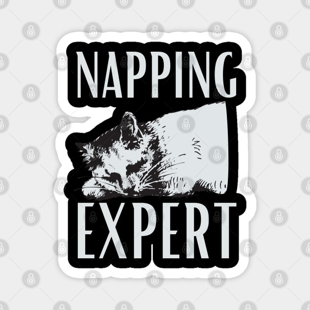 Napping expert Magnet by NomiCrafts