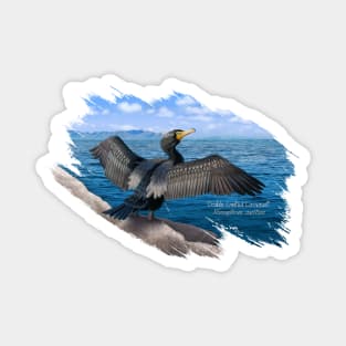 AnemalSoul - Double-crested Cormorant Magnet