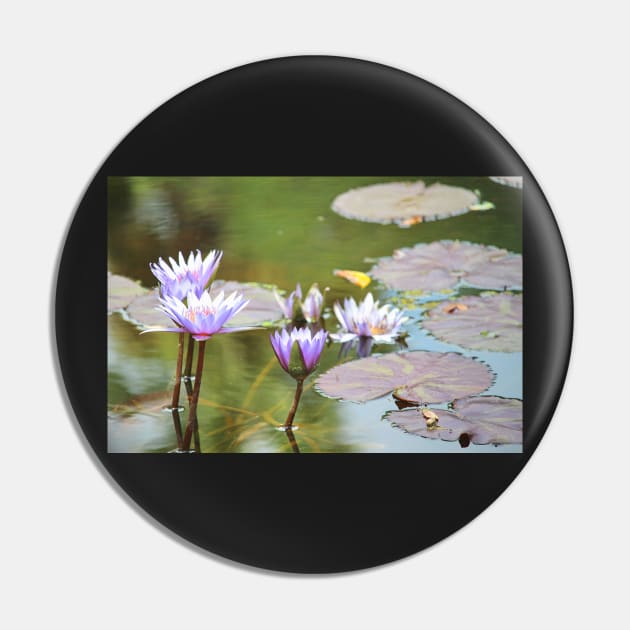 Lavendar Water Lilies Pin by croper