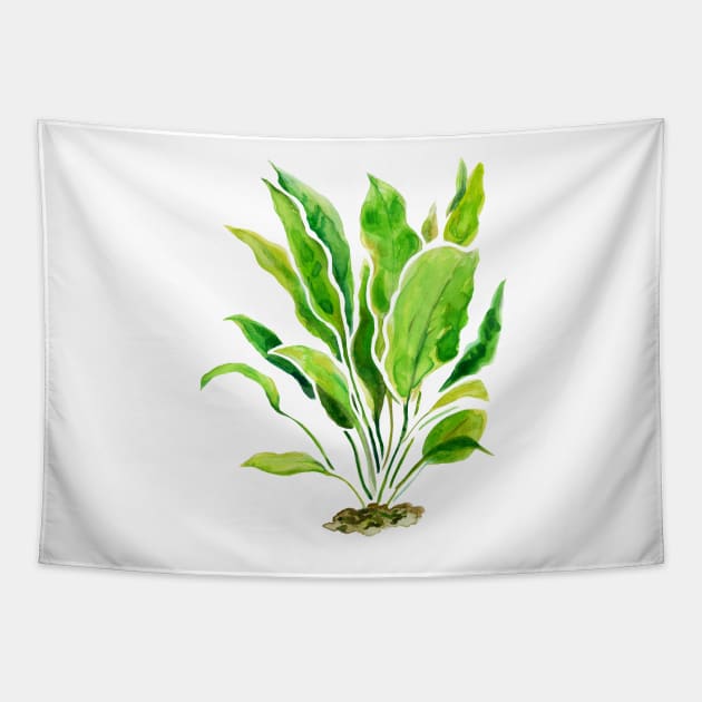 Aquarium Plants Series Amazon Sword Tapestry by yodelbat