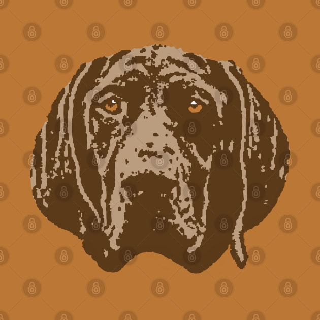 German Shorthaired Pointer by childofthecorn