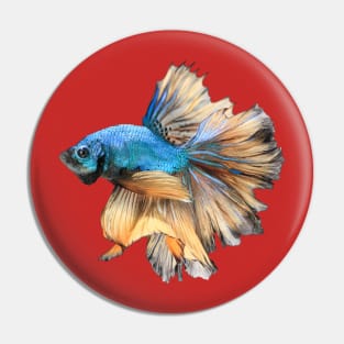 Blue yellow halfmoon bettafish Pin