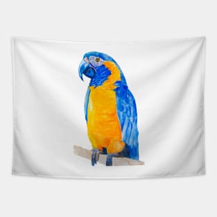 blue throated macaw parrot bresil watercolor art print Tapestry