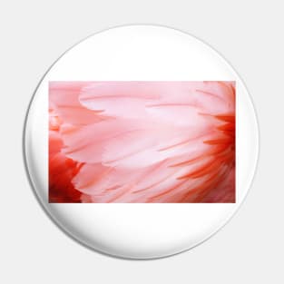 Flamingo Feathers Pin