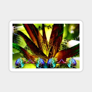 Tropical Abstract Background Magnet