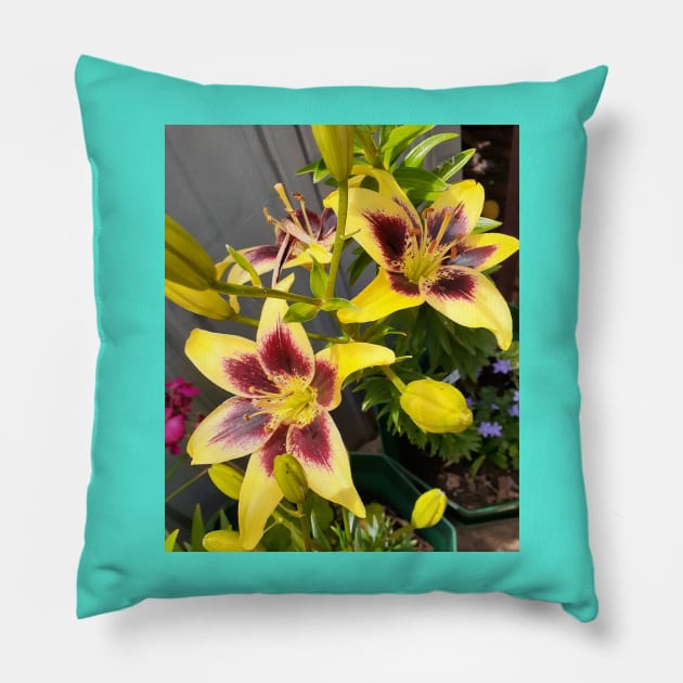 Lily Flower Yellow Pillow by SarahRajkotwala