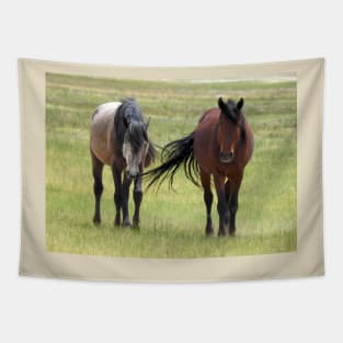 Wild horses, wildlife, gifts, California, True Beauty Tapestry