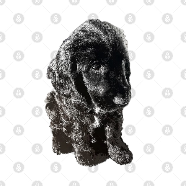 English Cocker Spaniel Black Puppy Dog - Adorable! by ElegantCat