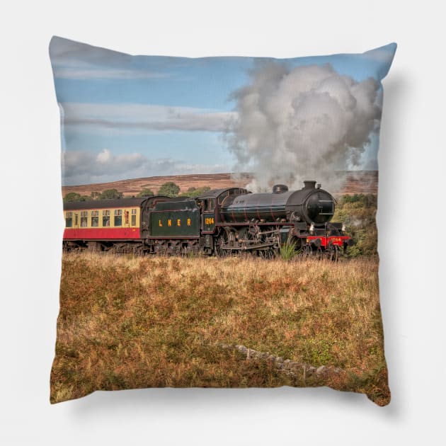 LNER Class B1 Number 1264 Steam Locomotive Pillow by SteveHClark