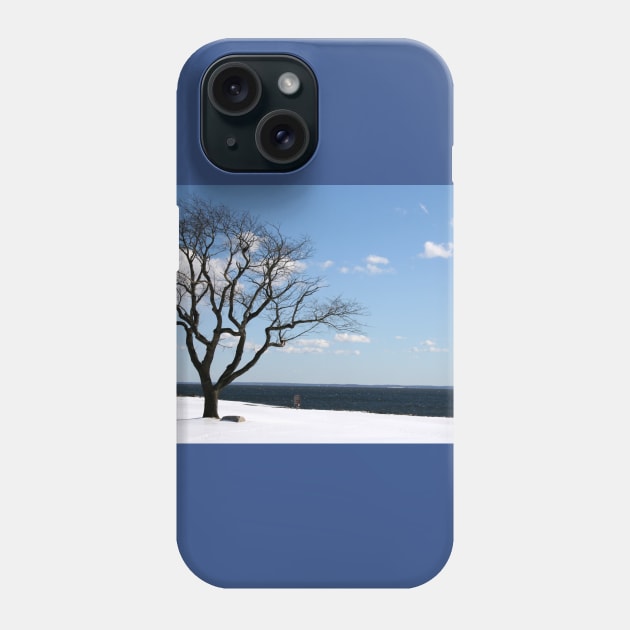 Lonely Winter Beach Scene Phone Case by Rob Johnson Photography