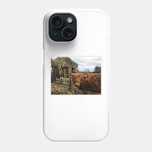 Scottish Highland Cattle Cow 2244 Phone Case