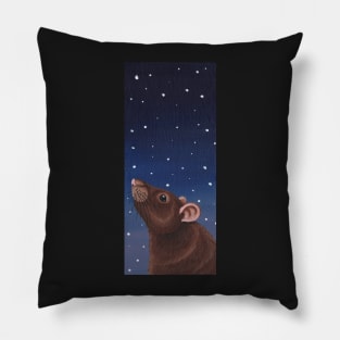 Agouti Brown Rat Stargazing Pillow