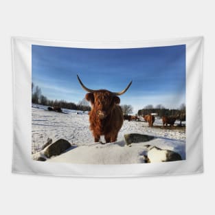 Scottish Highland Cattle Cow 2282 Tapestry