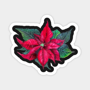 Elegant Poinsettia Pattern - Black Magnet