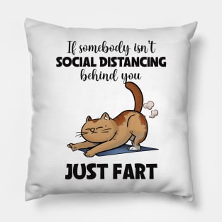 Funny Cat Jokes Pillow