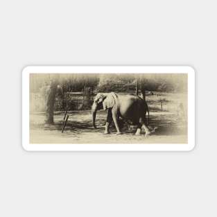 Vintage Elephant Magnet