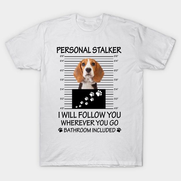beagle t