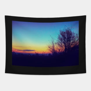 Country Night Life Tapestry