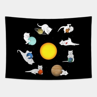 Chaos In The Solar System Tapestry