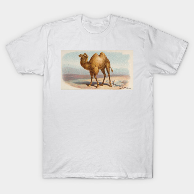 camel shirt