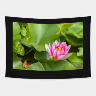 Red Waterlily Tapestry