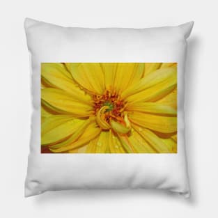 Yellow flower Pillow