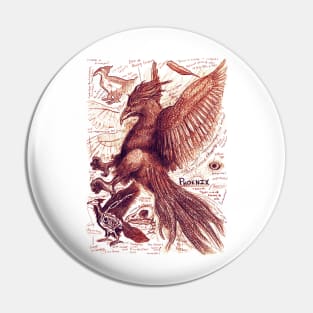 Phoenix Anatomy Study Pin