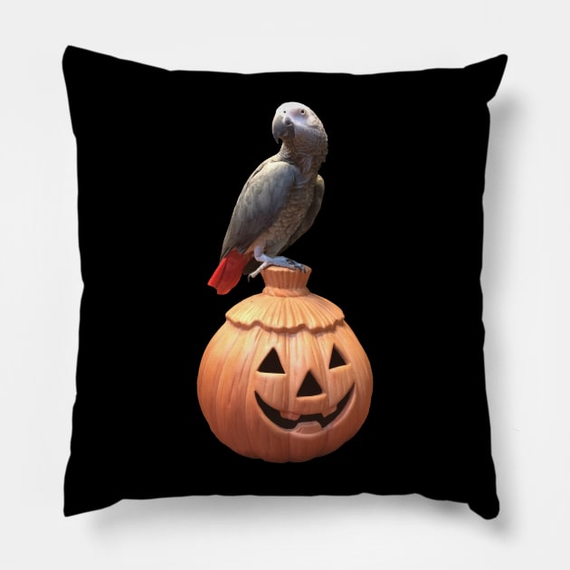 Jack-o-lantern Halloween African Grey Parrot Pillow by Einstein Parrot