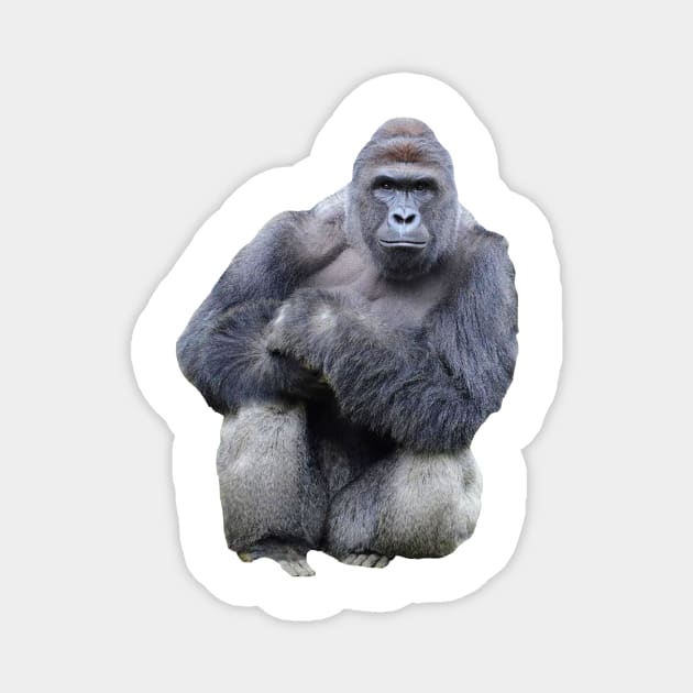 Harambe Magnet by FlashmanBiscuit