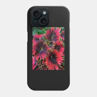 Coleus Plant Leaves Phone Case