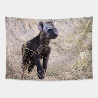 Young hyena cub Tapestry