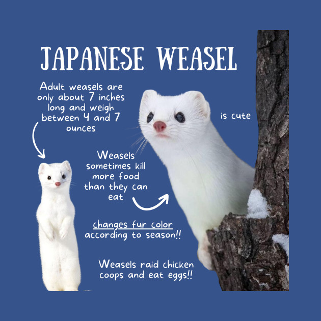 Disover Animal Facts - Japanese Weasel - Animal Facts - T-Shirt