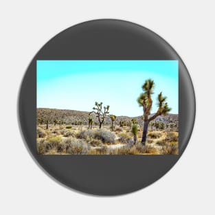 Joshua Tree National Park, California Pin