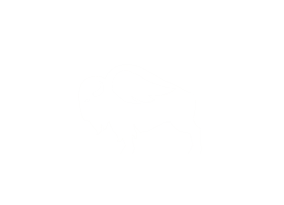 Buffalo Wild Wings Onesies Teepublic