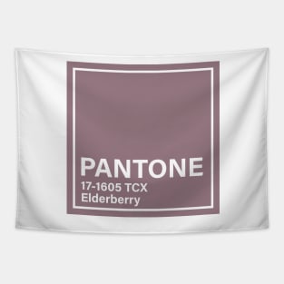 pantone 17-1605 TCX Elderberry Tapestry