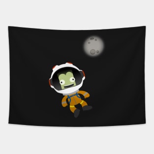 Mún or Bust! Kerbal Space Program Tapestry