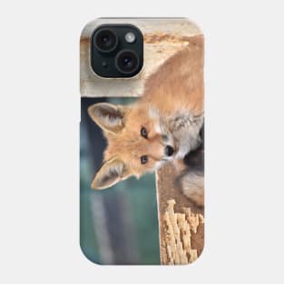 Red Fox Kit Phone Case