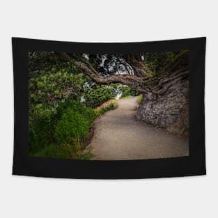 Mauao Base Walk Tapestry