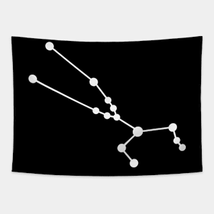 Zodiac Sign Taurus Constellation Tapestry