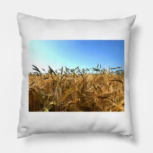 Summer Field Pillow