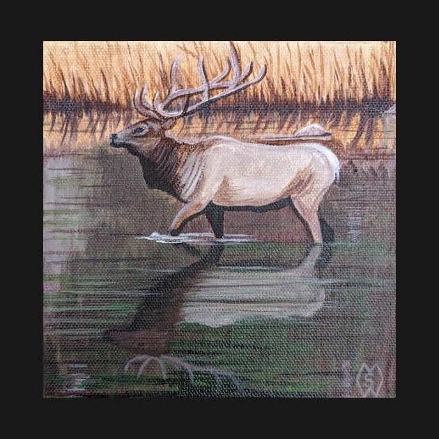 Bull Elk Reflections by Matt Starr Fine Art