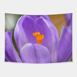 Crocus Tapestry